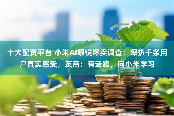 十大配资平台 小米AI眼镜爆卖调查：深扒千条用户真实感受，友商：有活路，向小米学习